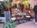 scambio-con-mainz-28-11-2012-5-12-2012-194