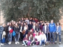gruppone