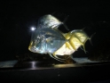 DSCN1621