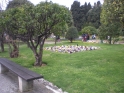 DSCN1698