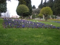 DSCN1703