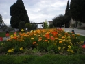 DSCN1705