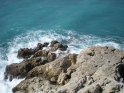 DSCN1739