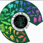 Olimpiadi di scienze naturali Olimpiadi di scienze naturali