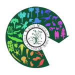 Olimpiadi di Scienze Olimpiadi di Scienze